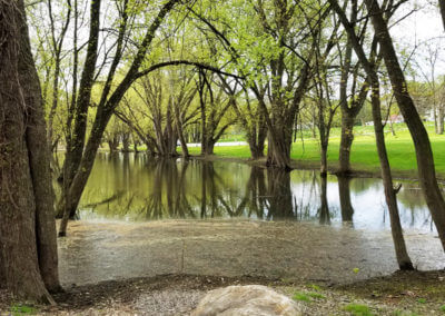 Grove of Trees in Park and Water Edge of River