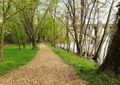 Park Pathway Covered in Mulch