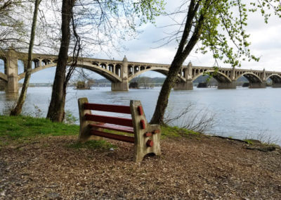 View of Columbia Wrightsville Bridge and Bench From the Park